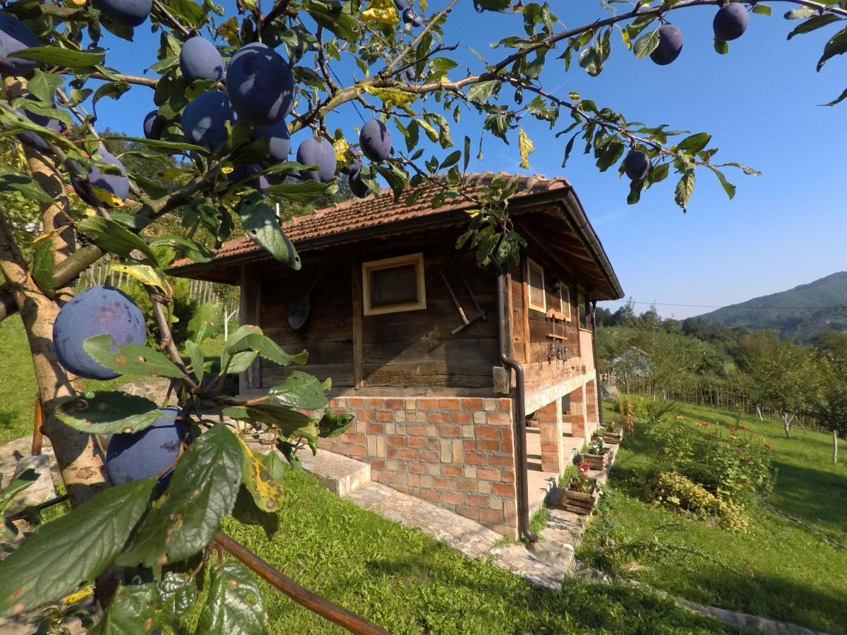 Ethno Village Bogut Bogutovac Buitenkant foto
