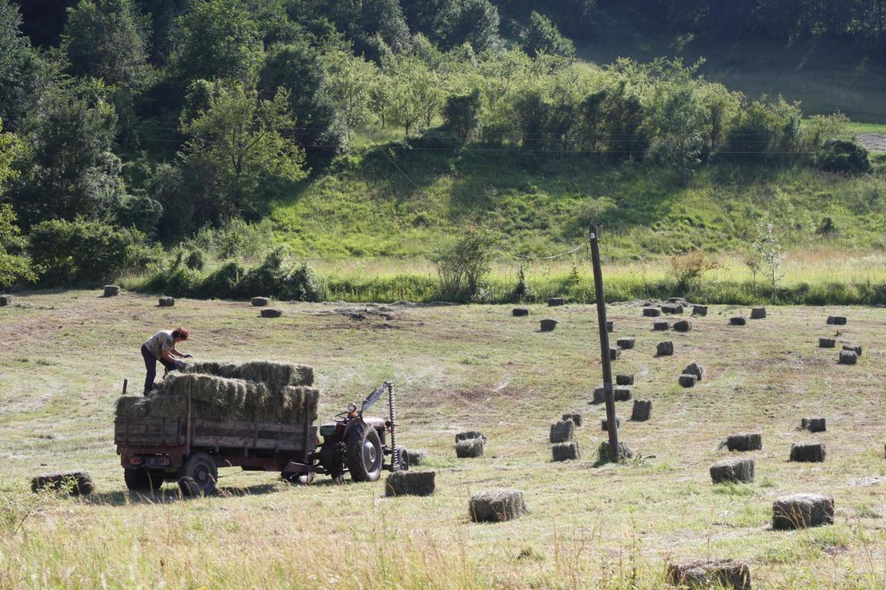 Ethno Village Bogut Bogutovac Buitenkant foto